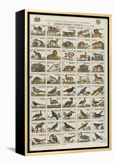 Alphabets d'animaux et d'oiseaux-null-Framed Premier Image Canvas