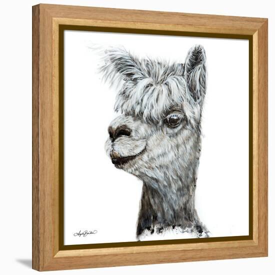 Alphie the Alpaca-Angela Bawden-Framed Stretched Canvas