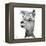 Alphie the Alpaca-Angela Bawden-Framed Stretched Canvas