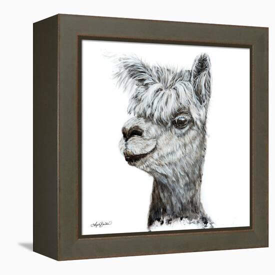 Alphie the Alpaca-Angela Bawden-Framed Stretched Canvas