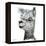 Alphie the Alpaca-Angela Bawden-Framed Stretched Canvas