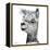 Alphie the Alpaca-Angela Bawden-Framed Stretched Canvas