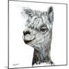 Alphie the Alpaca-Angela Bawden-Mounted Art Print