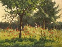 The Poppy Field-Alphonse Asselbergs-Giclee Print
