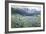 Alpin Meadow-John MacWhirter-Framed Giclee Print