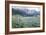 Alpin Meadow-John MacWhirter-Framed Giclee Print