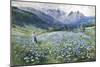 Alpin Meadow-John MacWhirter-Mounted Giclee Print