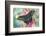 Alpine Black Swallowtail Butterfly, Papilio Maackii-Darrell Gulin-Framed Photographic Print