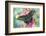 Alpine Black Swallowtail Butterfly, Papilio Maackii-Darrell Gulin-Framed Photographic Print