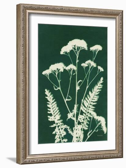 Alpine Flower I Green-Kathy Ferguson-Framed Art Print