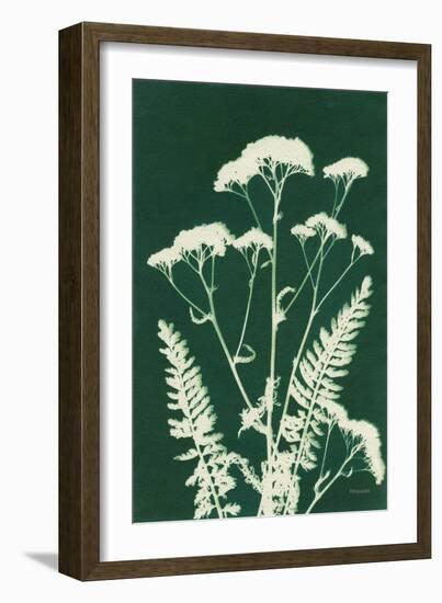 Alpine Flower I Green-Kathy Ferguson-Framed Art Print