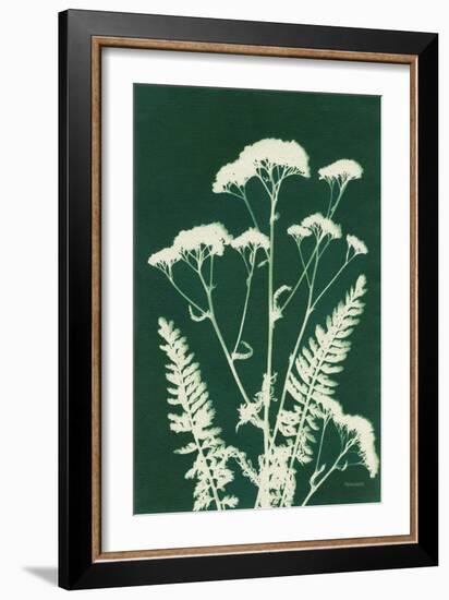 Alpine Flower I Green-Kathy Ferguson-Framed Art Print