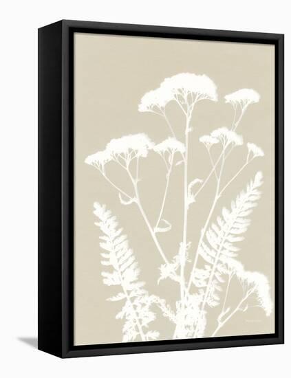 Alpine Flower I Neutral-Kathy Ferguson-Framed Stretched Canvas