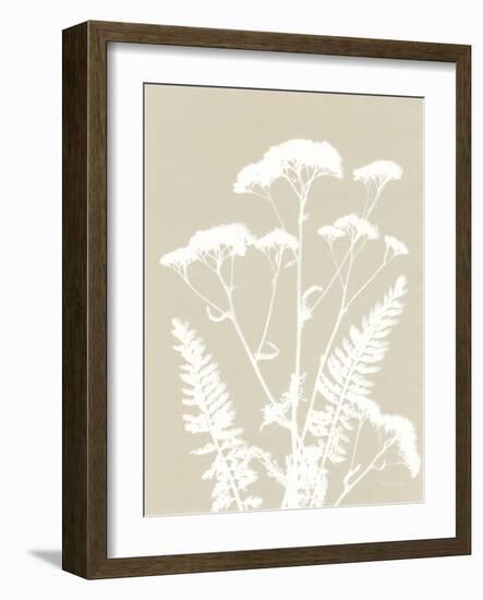 Alpine Flower I Neutral-Kathy Ferguson-Framed Art Print