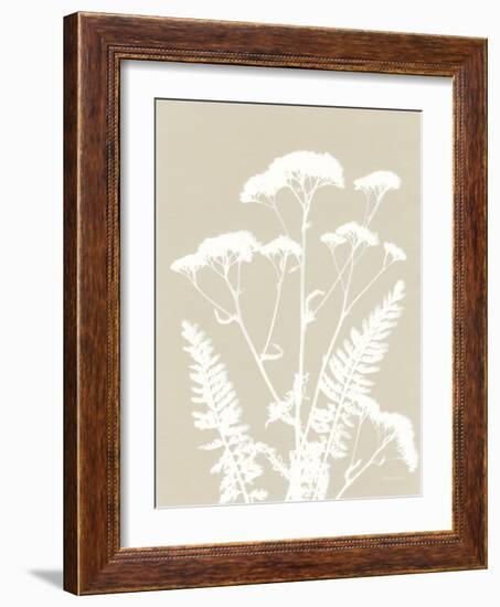 Alpine Flower I Neutral-Kathy Ferguson-Framed Art Print