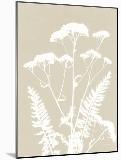 Alpine Flower I Neutral-Kathy Ferguson-Mounted Art Print