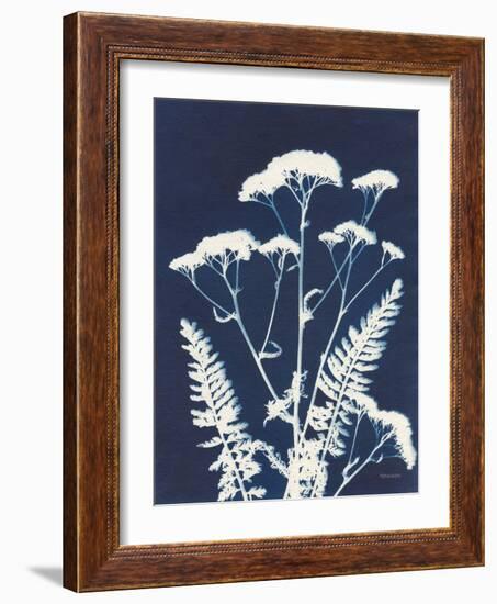 Alpine Flower I-Kathy Ferguson-Framed Art Print