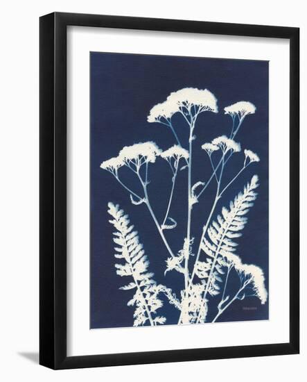 Alpine Flower I-Kathy Ferguson-Framed Art Print