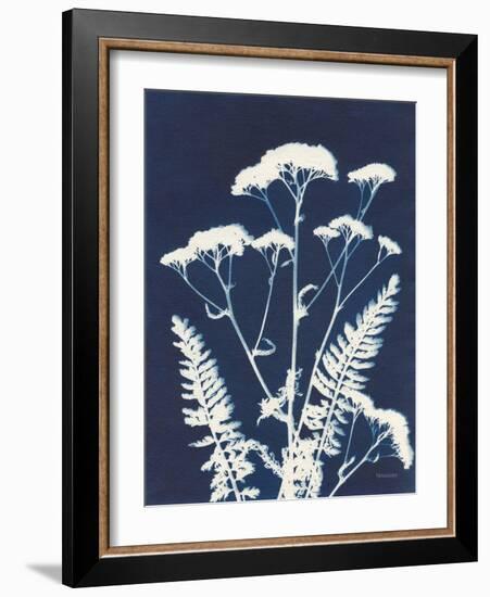 Alpine Flower I-Kathy Ferguson-Framed Art Print