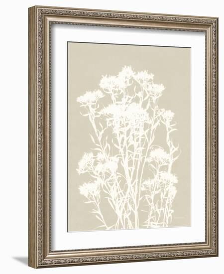 Alpine Flower II Neutral-Kathy Ferguson-Framed Art Print