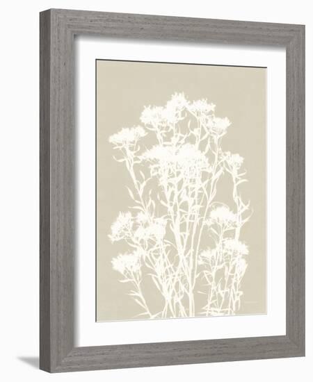 Alpine Flower II Neutral-Kathy Ferguson-Framed Art Print