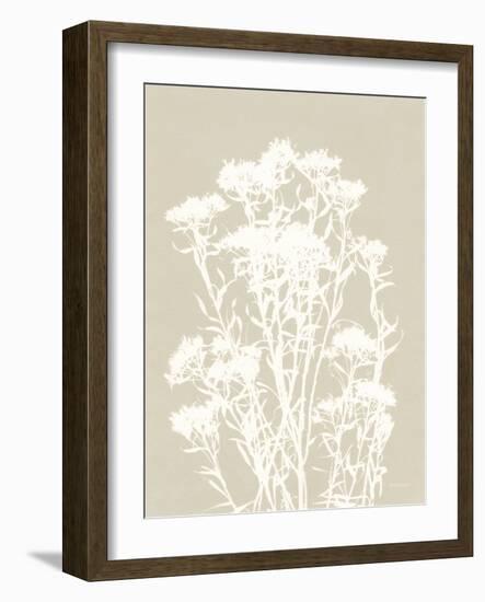 Alpine Flower II Neutral-Kathy Ferguson-Framed Art Print