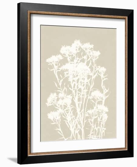 Alpine Flower II Neutral-Kathy Ferguson-Framed Art Print