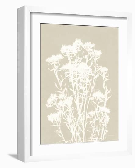 Alpine Flower II Neutral-Kathy Ferguson-Framed Art Print