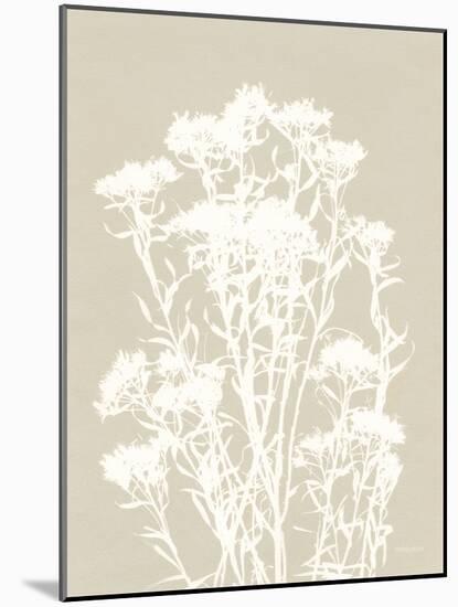 Alpine Flower II Neutral-Kathy Ferguson-Mounted Art Print
