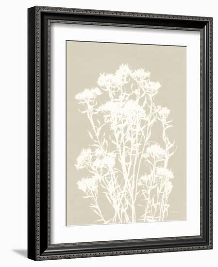 Alpine Flower II Neutral-Kathy Ferguson-Framed Art Print