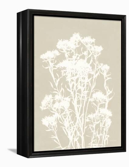 Alpine Flower II Neutral-Kathy Ferguson-Framed Stretched Canvas