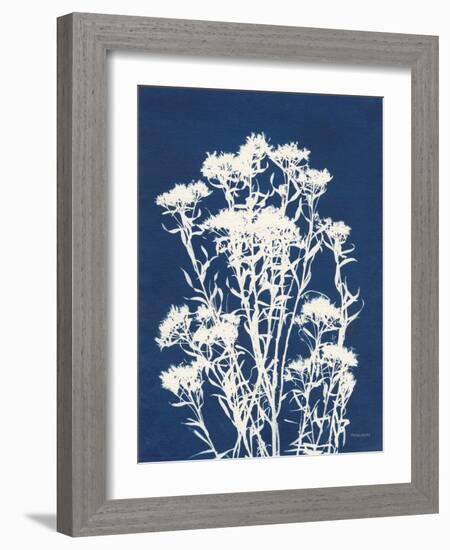 Alpine Flower II-Kathy Ferguson-Framed Art Print