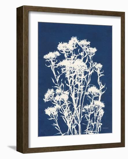 Alpine Flower II-Kathy Ferguson-Framed Art Print