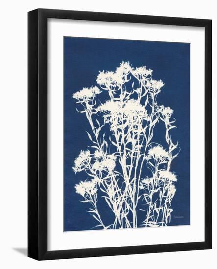 Alpine Flower II-Kathy Ferguson-Framed Art Print