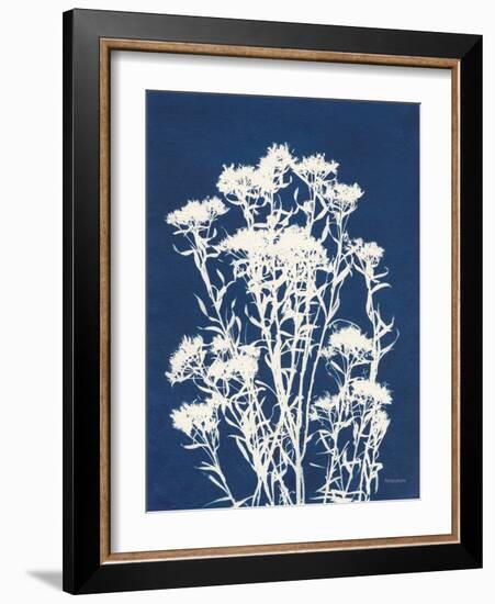 Alpine Flower II-Kathy Ferguson-Framed Art Print