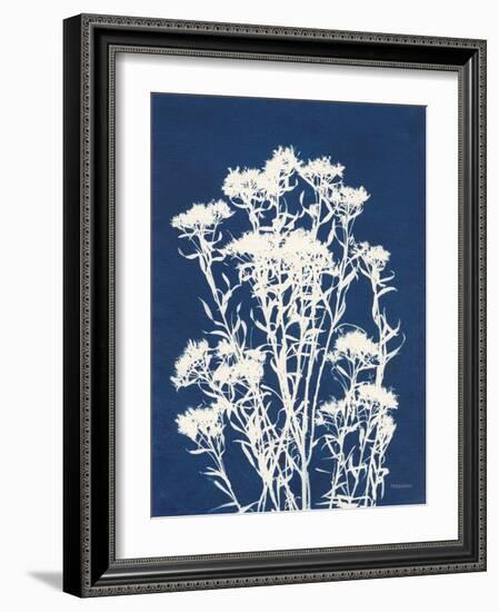 Alpine Flower II-Kathy Ferguson-Framed Art Print