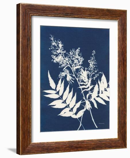 Alpine Flower III-Kathy Ferguson-Framed Art Print