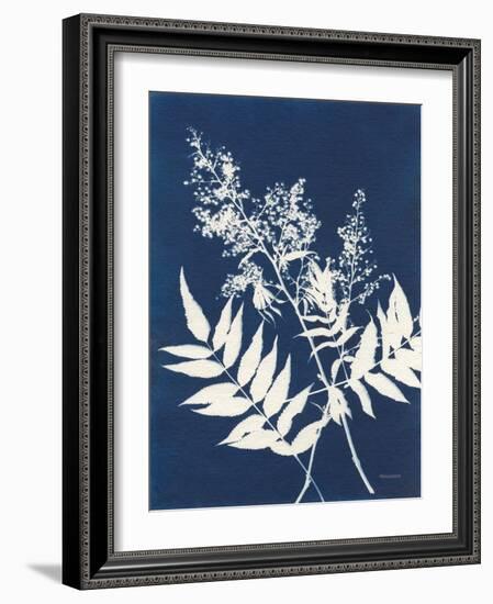 Alpine Flower III-Kathy Ferguson-Framed Art Print