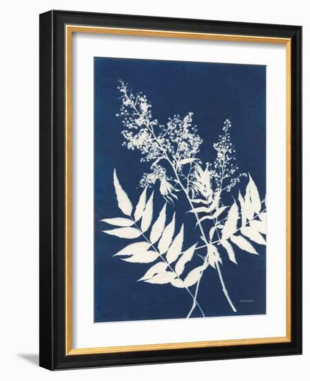 Alpine Flower III-Kathy Ferguson-Framed Art Print