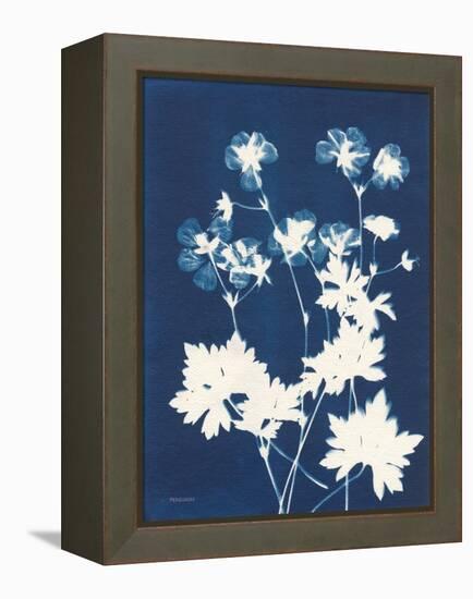 Alpine Flower V-Kathy Ferguson-Framed Stretched Canvas