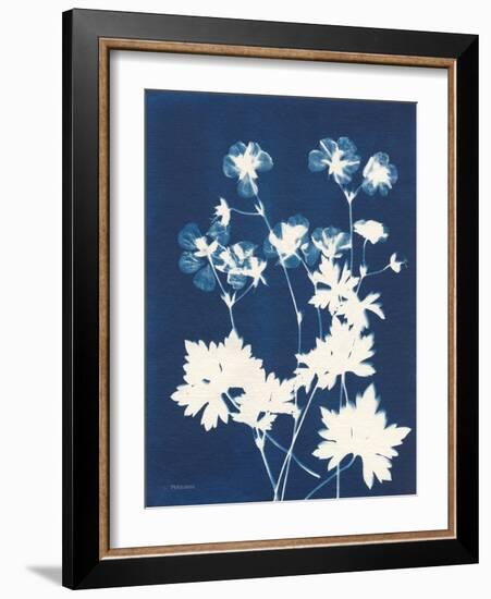 Alpine Flower V-Kathy Ferguson-Framed Art Print