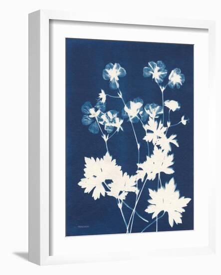 Alpine Flower V-Kathy Ferguson-Framed Art Print