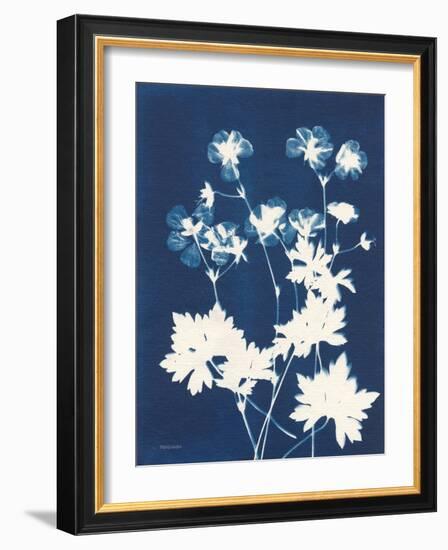 Alpine Flower V-Kathy Ferguson-Framed Art Print