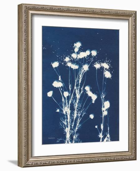 Alpine Flower VI-Kathy Ferguson-Framed Art Print