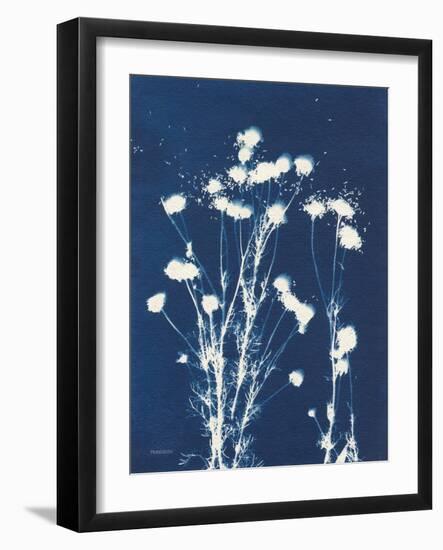 Alpine Flower VI-Kathy Ferguson-Framed Art Print