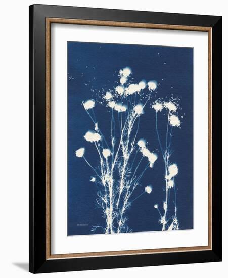 Alpine Flower VI-Kathy Ferguson-Framed Art Print