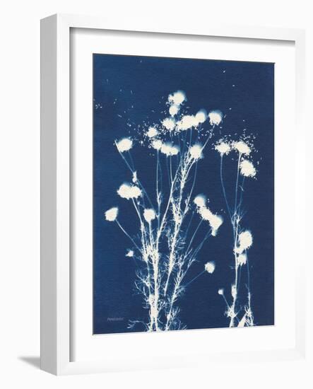 Alpine Flower VI-Kathy Ferguson-Framed Art Print