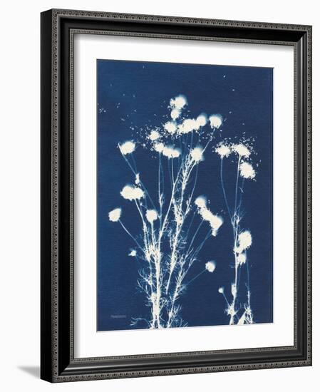 Alpine Flower VI-Kathy Ferguson-Framed Art Print