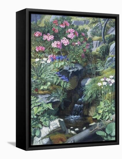 Alpine Flowers by a Stream-Otto Didrik Ottesen-Framed Premier Image Canvas