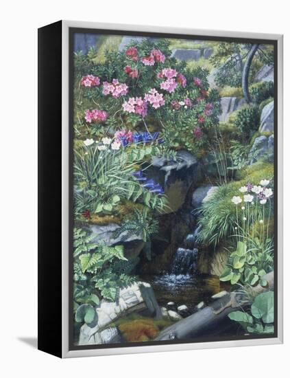 Alpine Flowers by a Stream-Otto Didrik Ottesen-Framed Premier Image Canvas